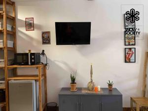 Marek Ski Studio 405