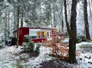 Natuurhuisje het Jagertje