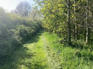 Cowshed - Duffys Ballybin 4-star