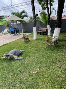 Apartamento Completo no Centro de Porto de Galinhas