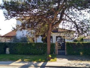 Excellent studio MIA