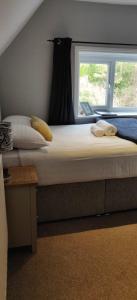 Small Double Room room in Bodalwyn Guest House