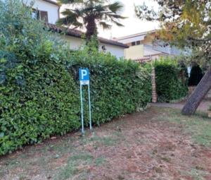 Excellent studio MIA