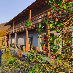 Lawendowy Raj - Dębowy Gaj