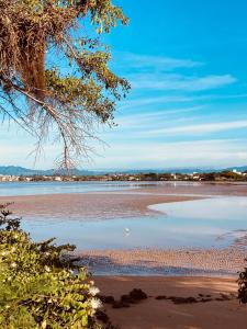 Apêzinho Aconchegante e Decorado