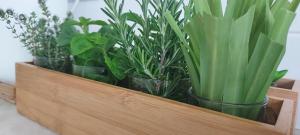 Ti Maria White House