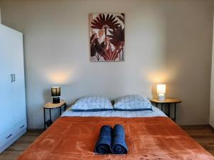 Appartements Les Apparts de Marmande - Grand T3 Lumineux : photos des chambres