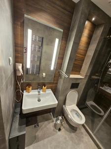 Apartman Ambient Zlatibor