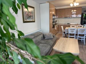 Guest House Tatiana /Къща за гости ТАТЯНА - Ubytování bez kategorie ve městě Petrič