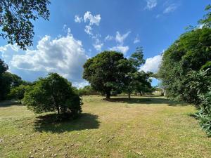 Chácara Andorinhas São Pedro SP