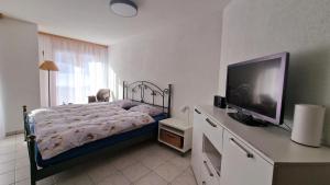 An der Langlaufloipe - Studio Arnica