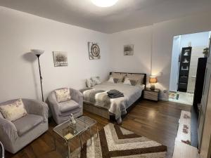 Studio cozy - Calea Moșilor