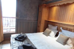 Chalet le Chamois-Arolles- Arcs 2000-Alpes-France