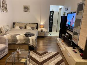 Studio cozy - Calea Moșilor