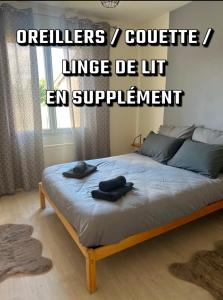 Maisons de vacances La Maison Jumelle ELM Tonneins : photos des chambres