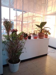 Habitación Central en Santa Rosa de Cabal Termales