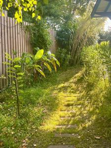 Villas ARES - Maison le Paradis : photos des chambres