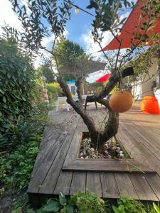 Villas ARES - Maison le Paradis : photos des chambres