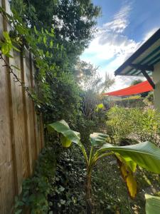 Villas ARES - Maison le Paradis : photos des chambres