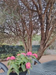 Eli's beach house img52