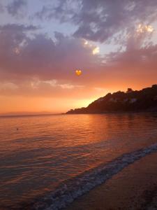 Eli's beach house img66