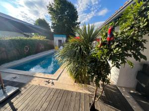 Villas ARES - Maison le Paradis : photos des chambres