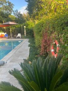 Villas ARES - Maison le Paradis : photos des chambres