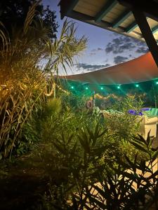 Villas ARES - Maison le Paradis : photos des chambres