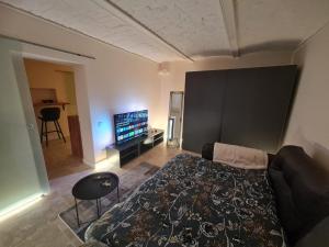 Historical ultracentral apartment