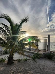 SandyToes La Casita del Mexicano