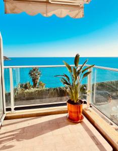 Beautiful sea view near Monaco