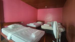 La inculta hostel Ometepe