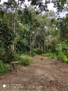 Suítes Pedreiras 01