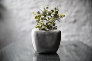 HIRSCH Stadt Apartment 2 - Terrasse mit Flussblick - Parkplatz