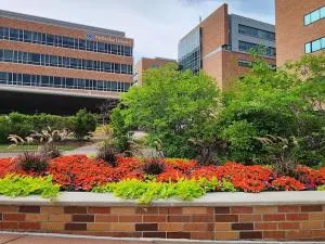 Serene Getaway in Plymouth, MN - 4 bedroom home - 明尼通卡