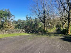 Casa dos Plátanos quarto branco