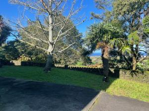 Casa dos Plátanos quarto branco