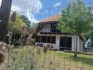 Cabaña Floresta - 帕尔克德尔普拉塔