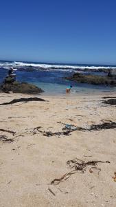 Departamento Los Bosques del Tabo