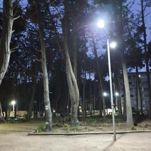 Departamento Los Bosques del Tabo