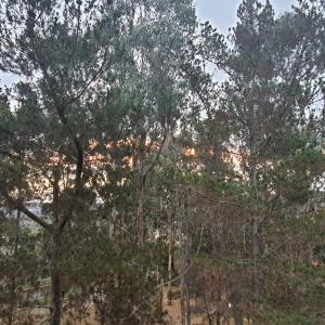 Departamento Los Bosques del Tabo