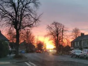 Zorro - 戈斯福斯