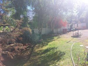 Depto De Lore Vicuña