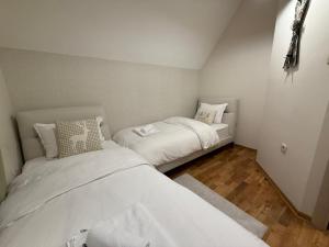 Mountain house Vilina rosa