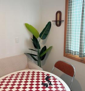 Busan Yeongdo Ilang Ilang