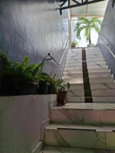 Altos de alter apt C