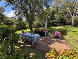 Madrigal or red finquita