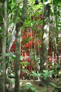 Bamboo Cabana Adams Peak