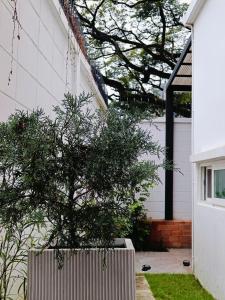 As-it home at CentralFest