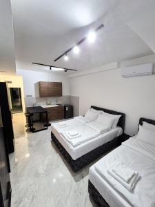 Fine apartments Nis
